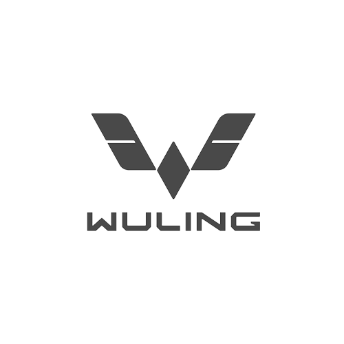 Partnering with Wuling – Delivering reliable EV charging solutions for Wuling's electric vehicles in Indonesia.